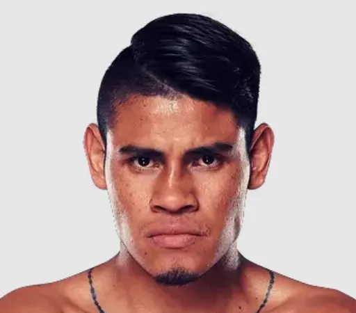 Vaquero