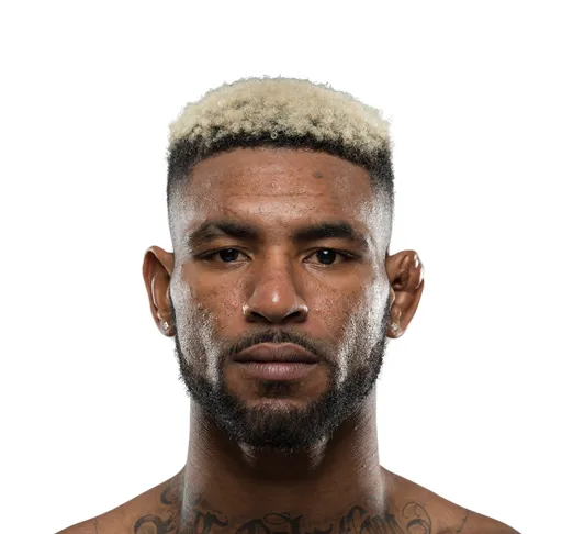 The Wolf