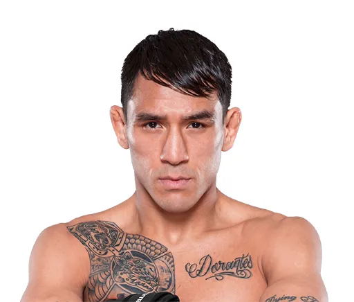 El matador