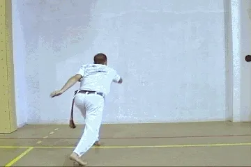 Удары в капойэра