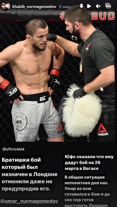 Хабиб Умар