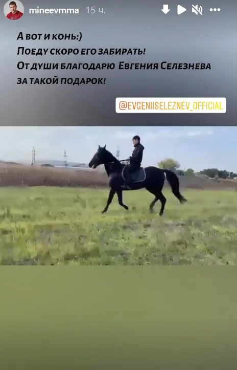 минеев