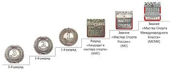 МС по боксу