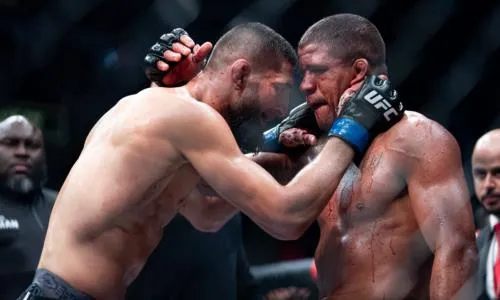 Фото: UFC