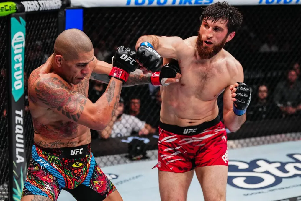 Самый избегаемый чемпион UFC, прошедший через болезненную утрату: биография Магомеда Анкалаева