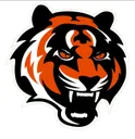 Tiger Muay Thai