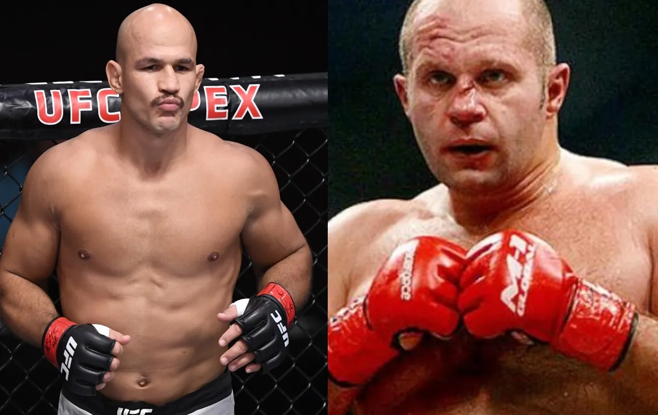 Коллаж Fightnews.info