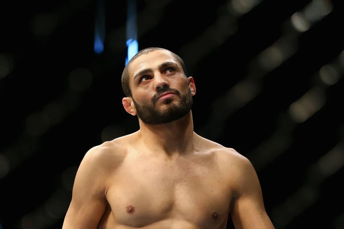 Грузия в UFC