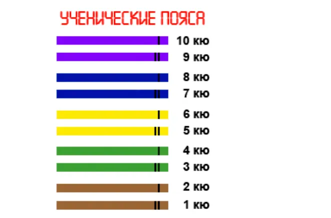 Пояса в кудо