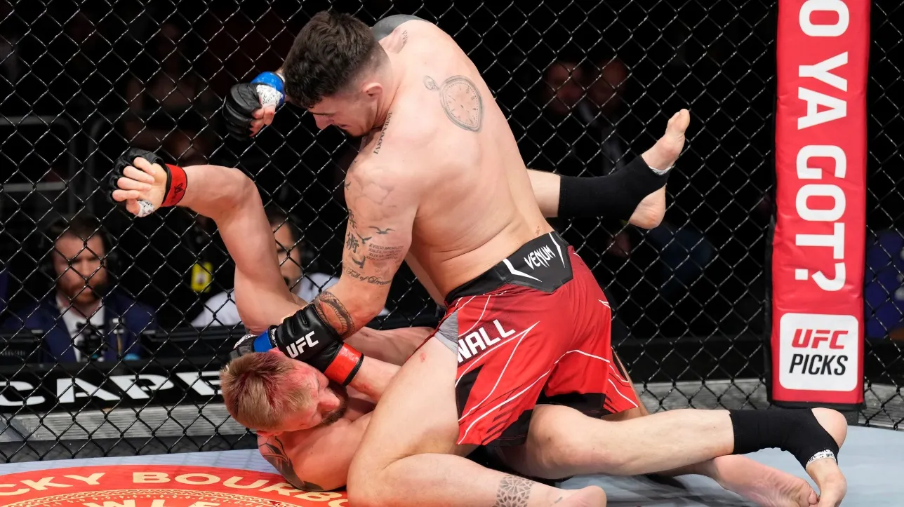 UFC Лондон: Волков – Аспиналл