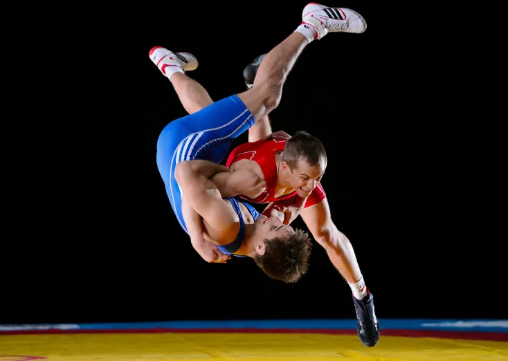 Вольная борьба