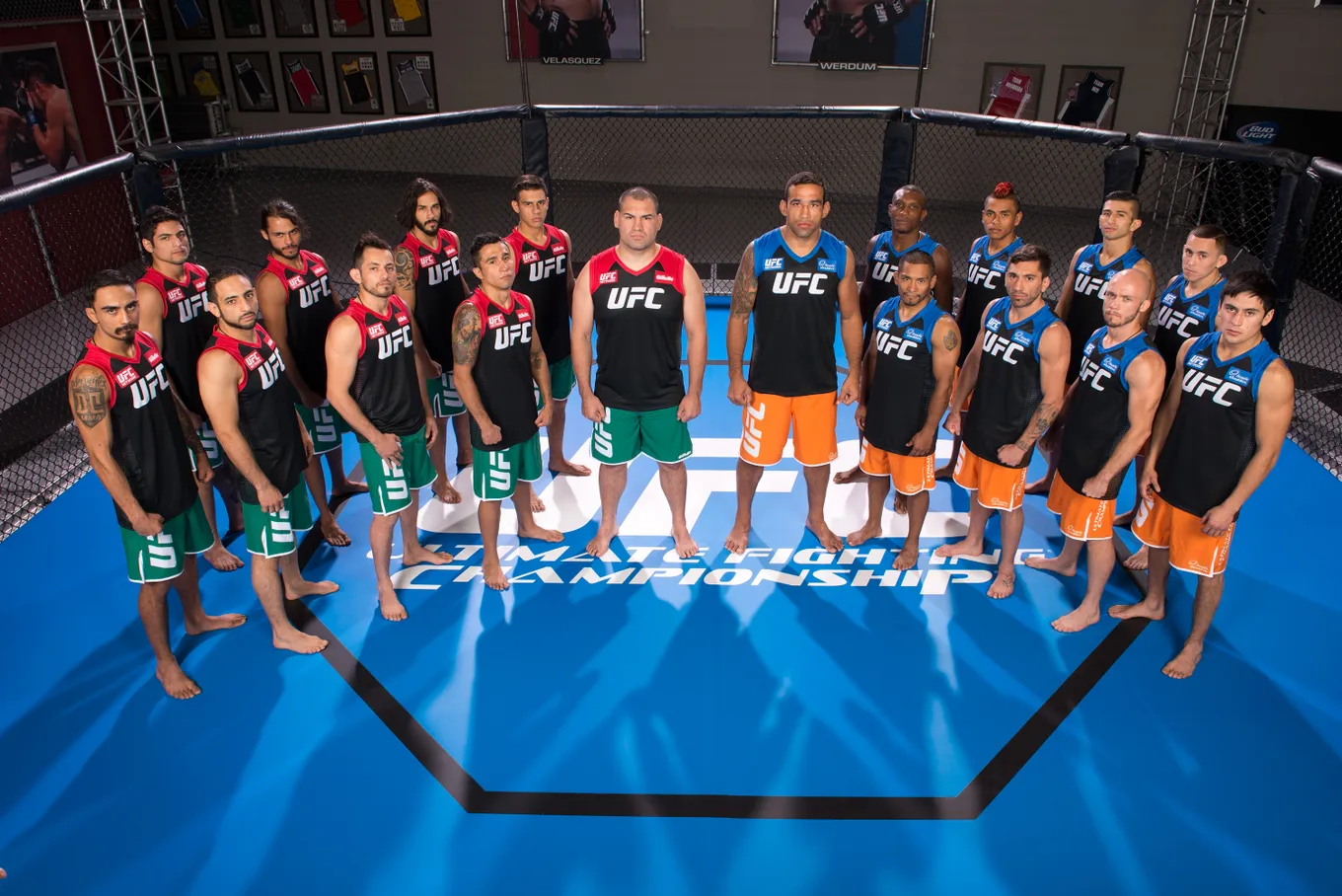 The Ultimate Fighter