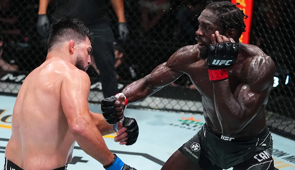 UFC on ESPN 29