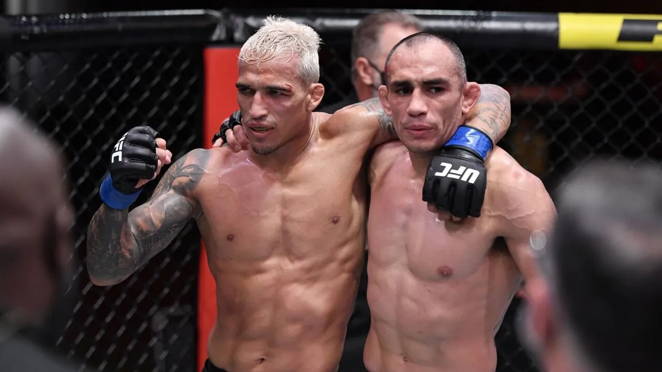 Фото: UFC