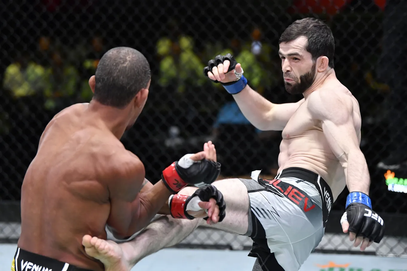 UFC Vegas 30