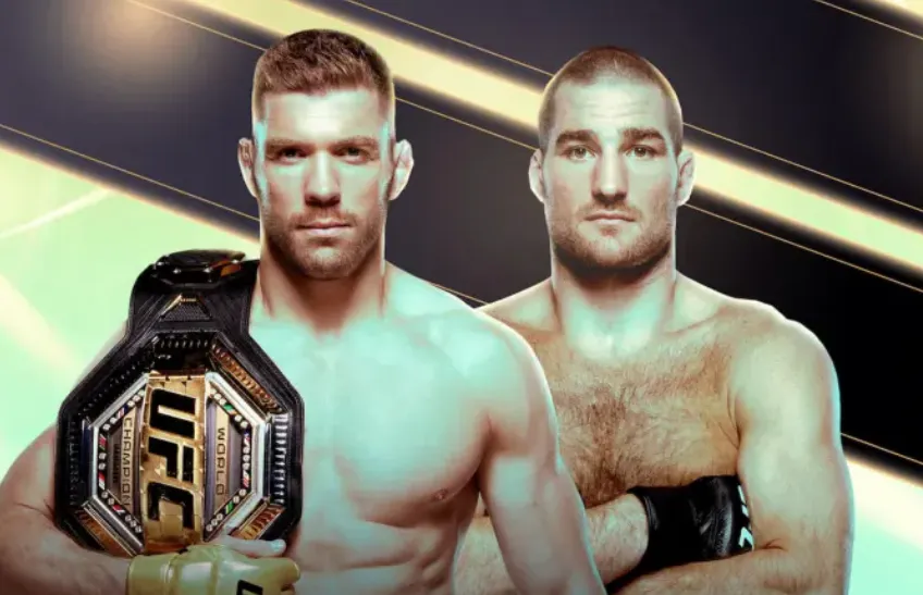 UFC 312
