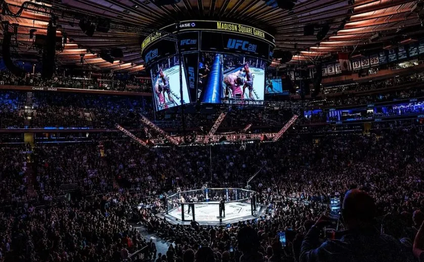 UFC 281