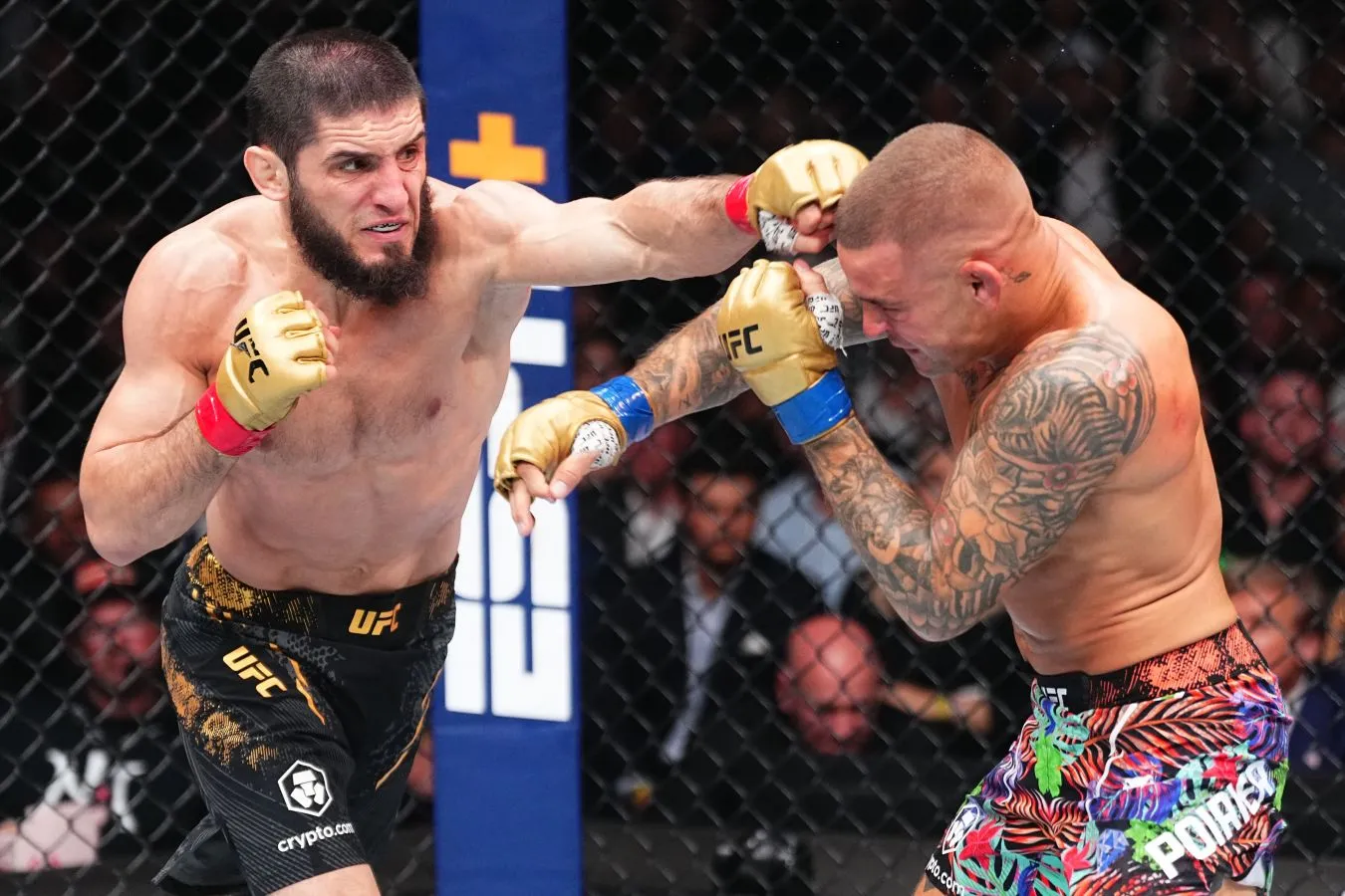 Бой по правилам MMA