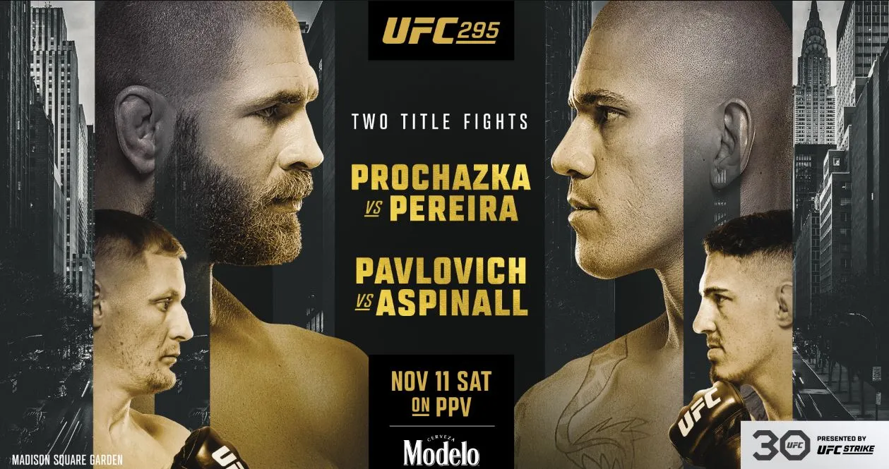 UFC 295