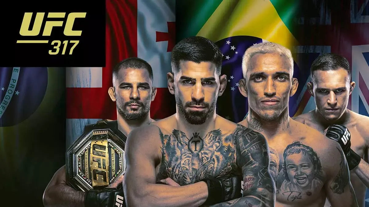 Постер UFC 317