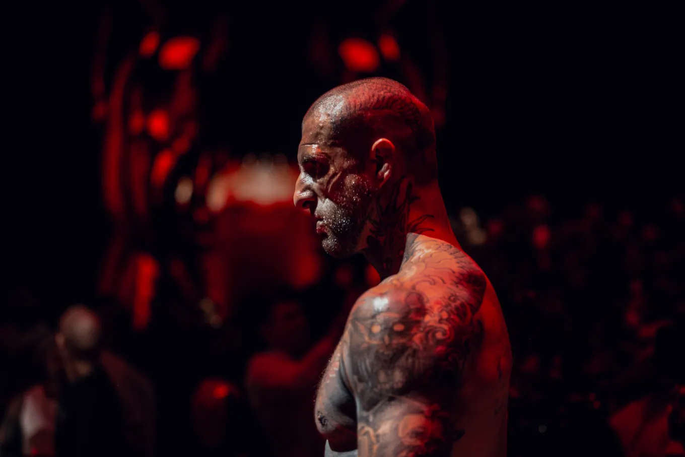 Alex Terrible. Top Dog 37