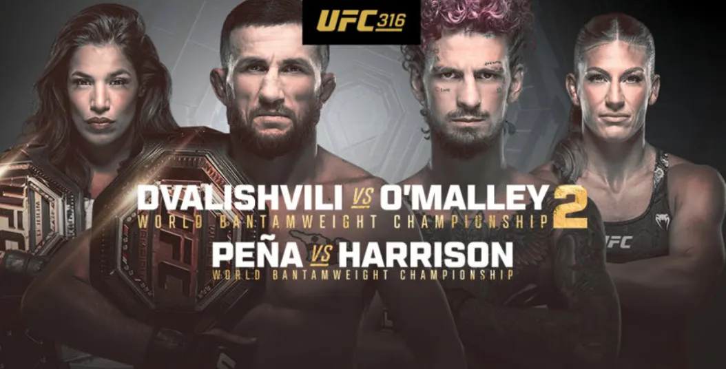 UFC 316