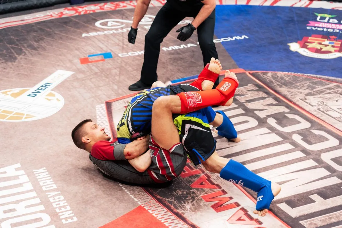 Чемпионат России по ММА