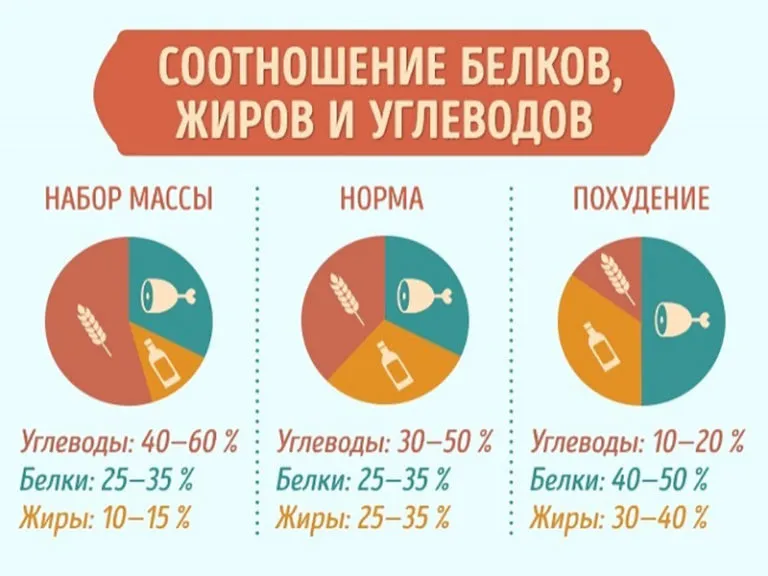 БЖУ2