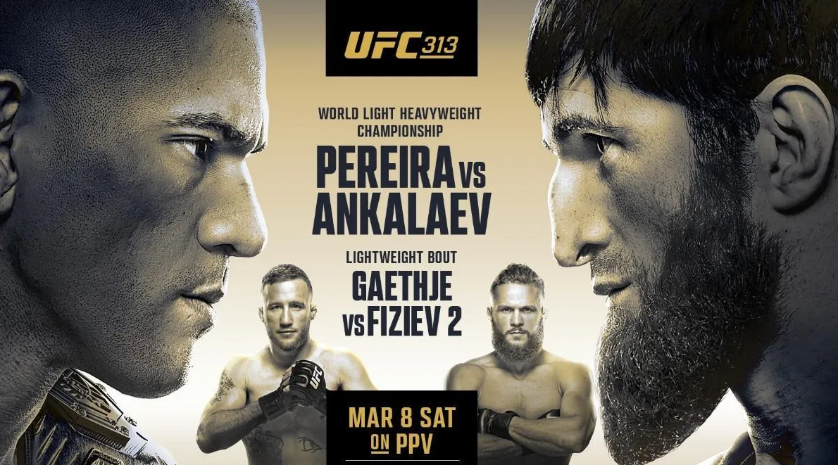 UFC 313
