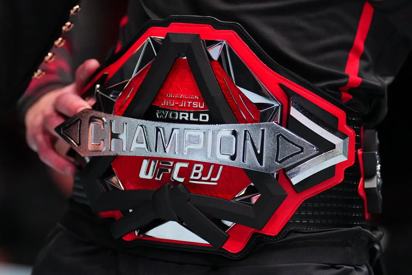 В UFC тоже начали активно развивать направление, посвященное БЖЖ