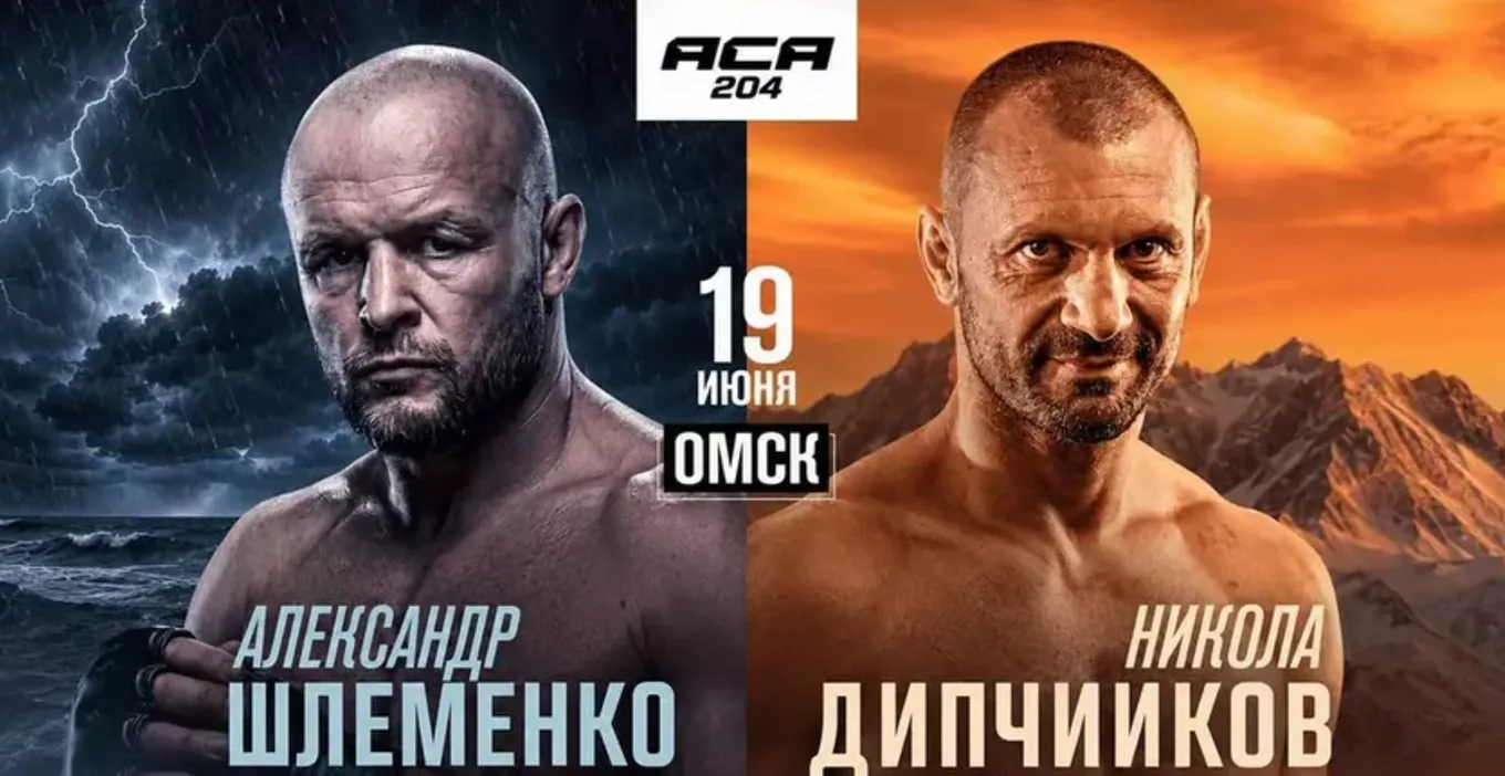 АСА 204