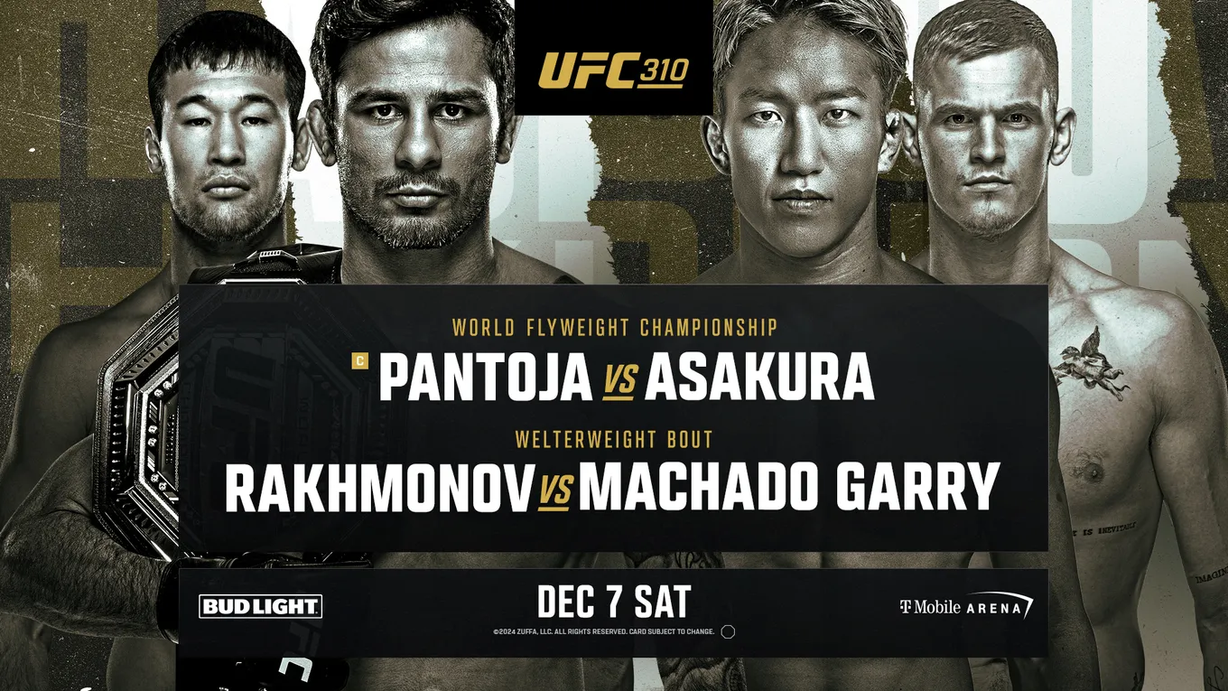 Афиша UFC 310