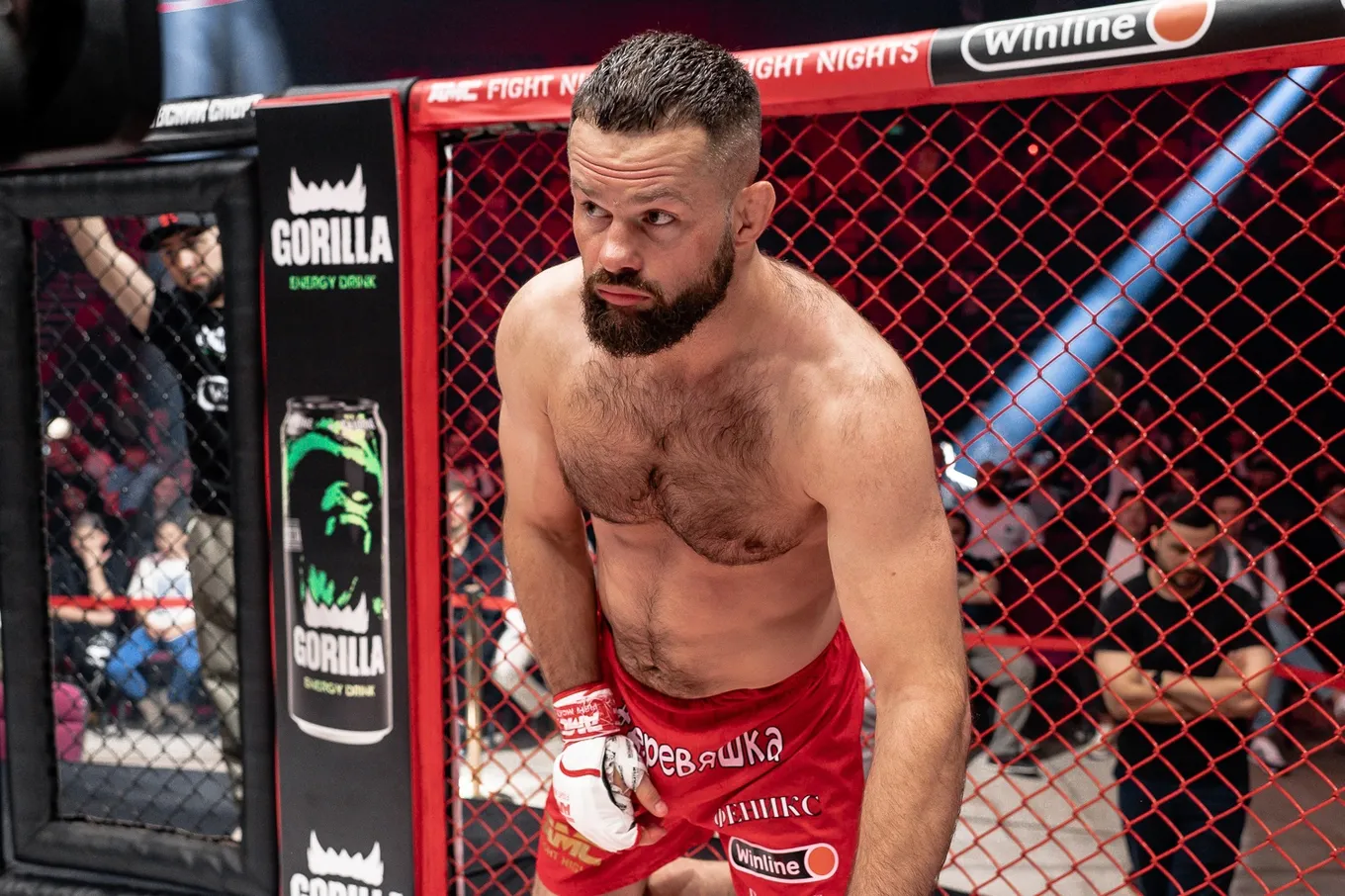 Дмитрий Бикрев