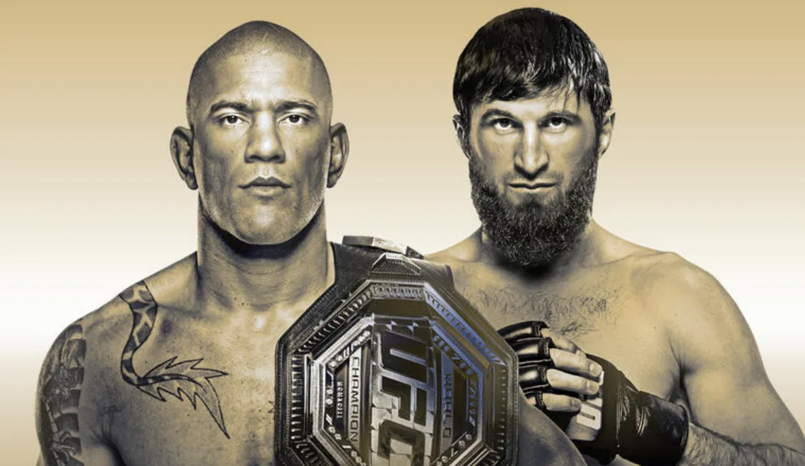 UFC 313