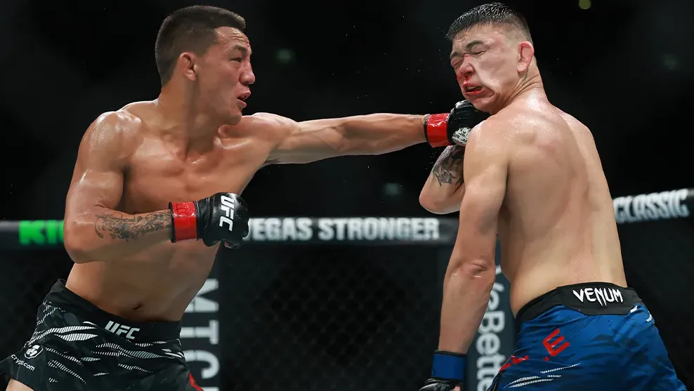 UFC 312