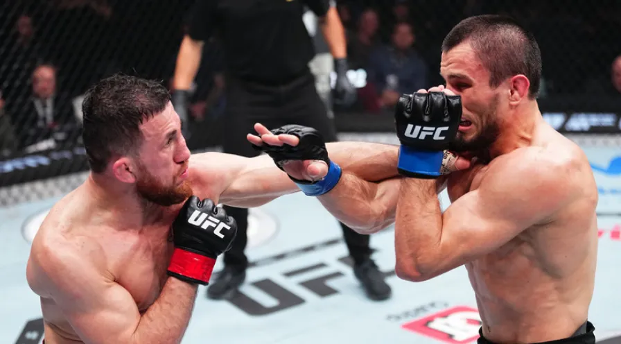 UFC 311