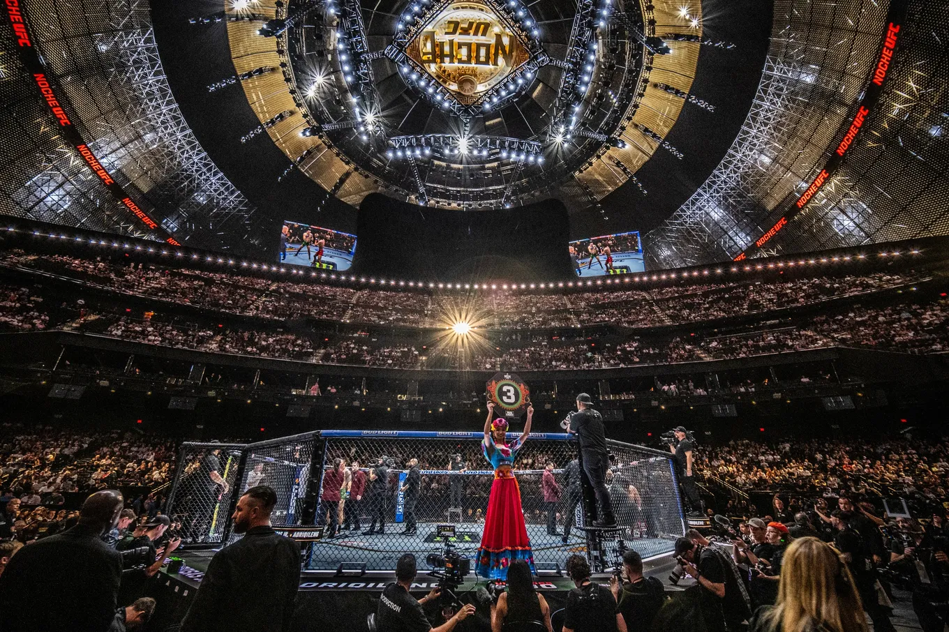 UFC 306