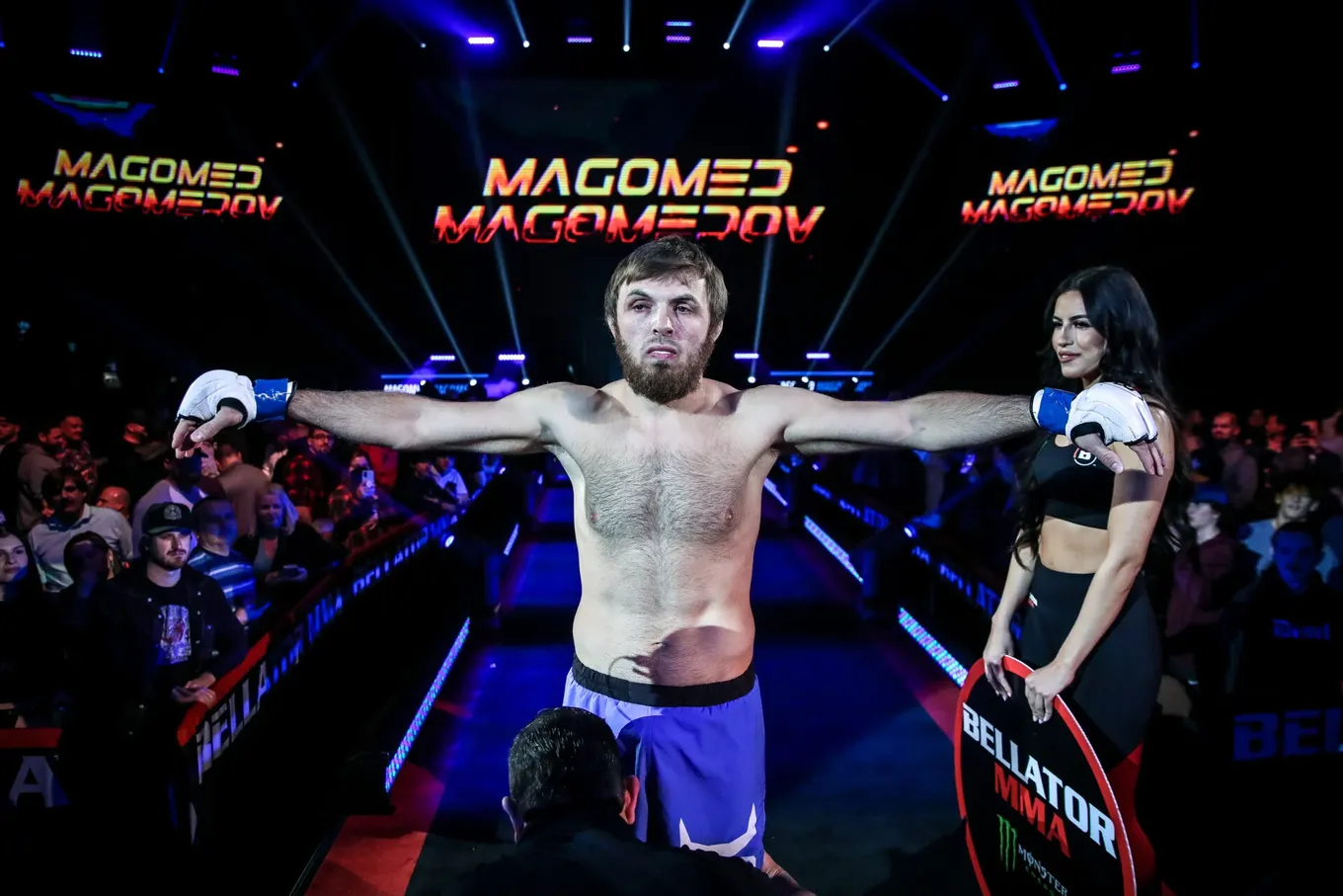 Магомед Магомедов