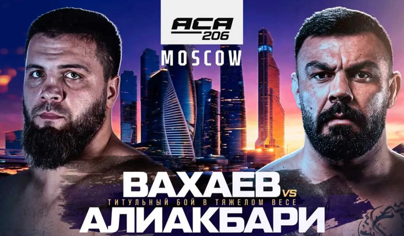 АСА 206