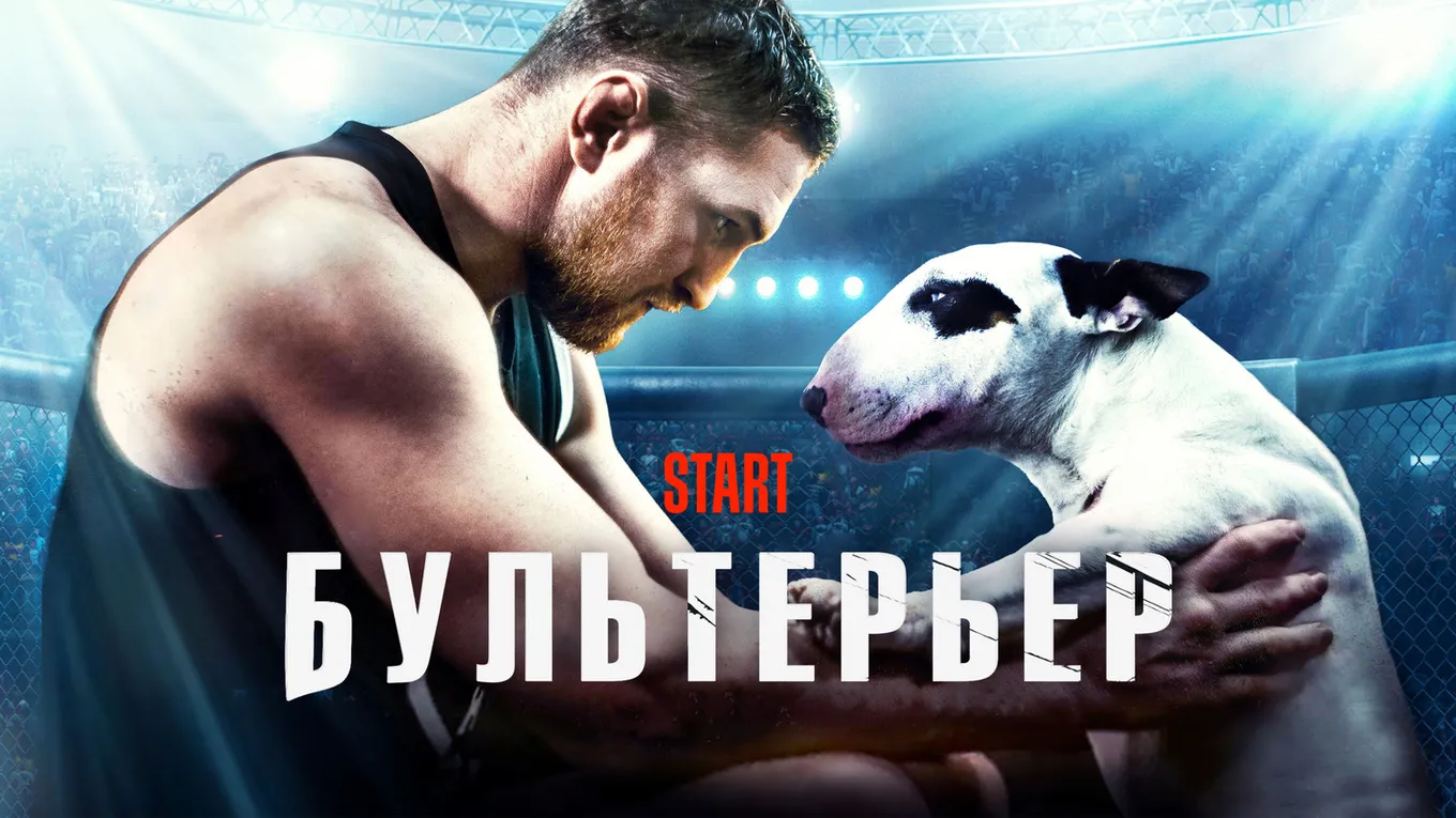 Постер фильма «Бультерьер»