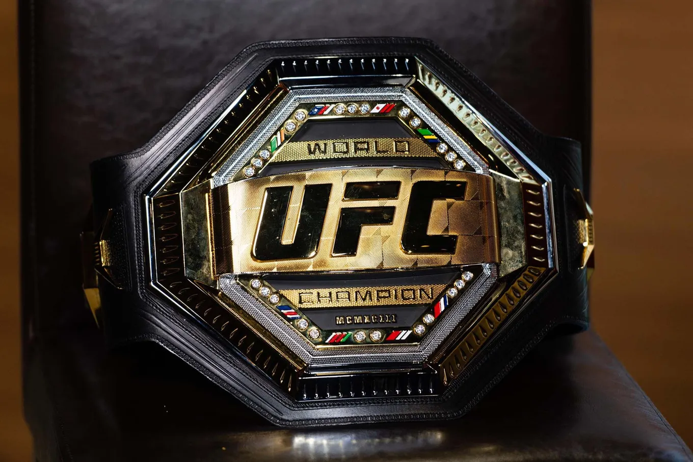 UFC – крупнейший промоушен мира в индустрии MMA