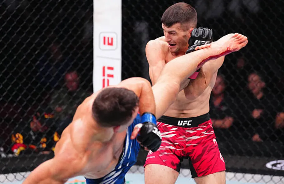 UFC Fight Night 262