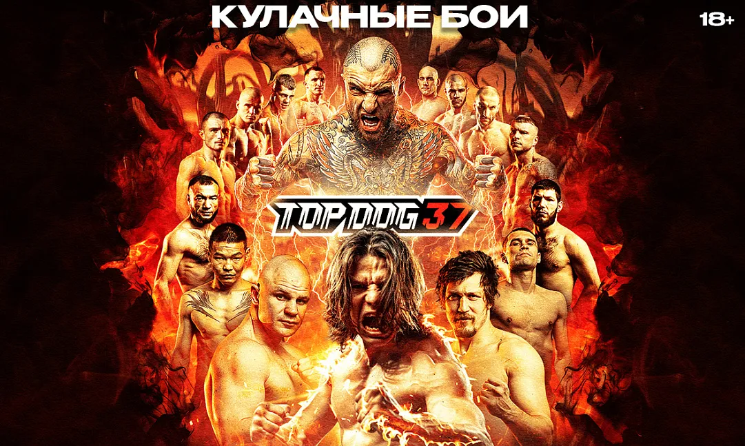 Top Dog 37