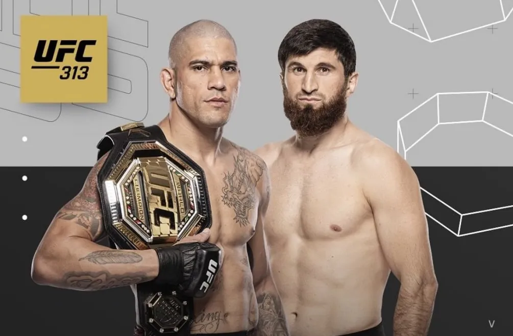 UFC 313