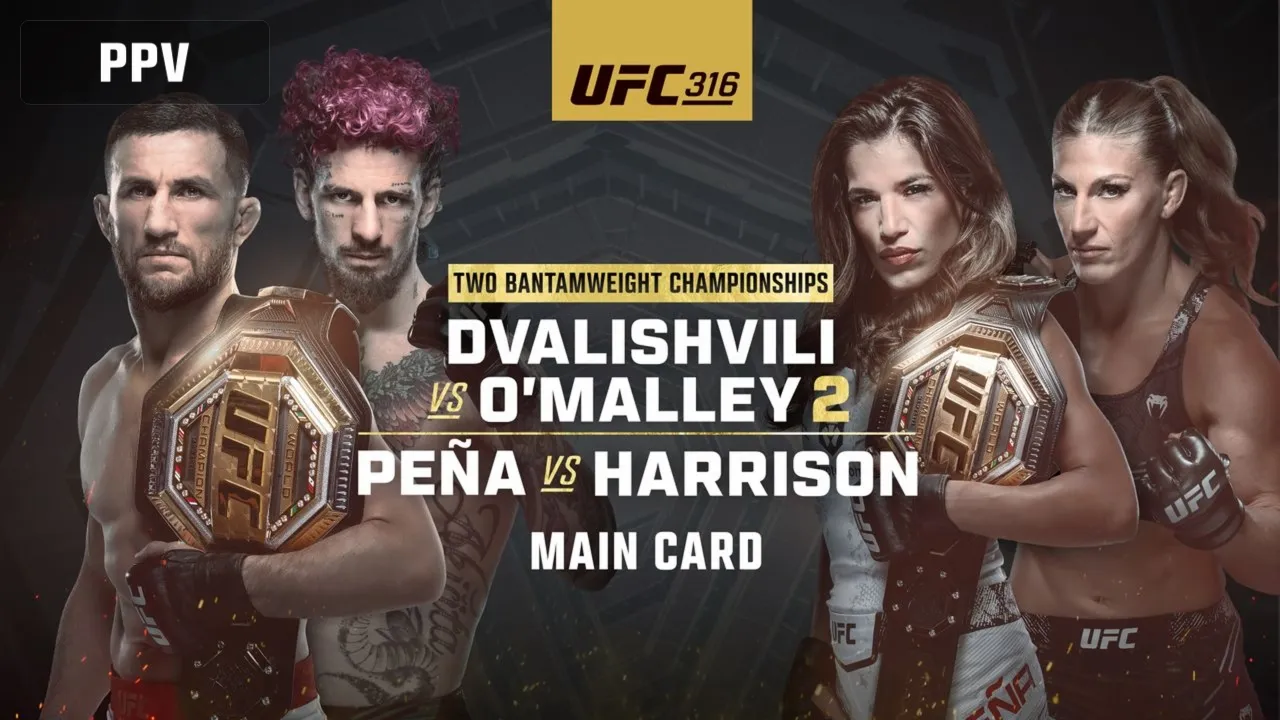 Постер UFC 316