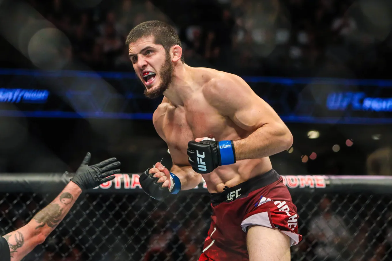 Чемпион UFC Ислам Махачев