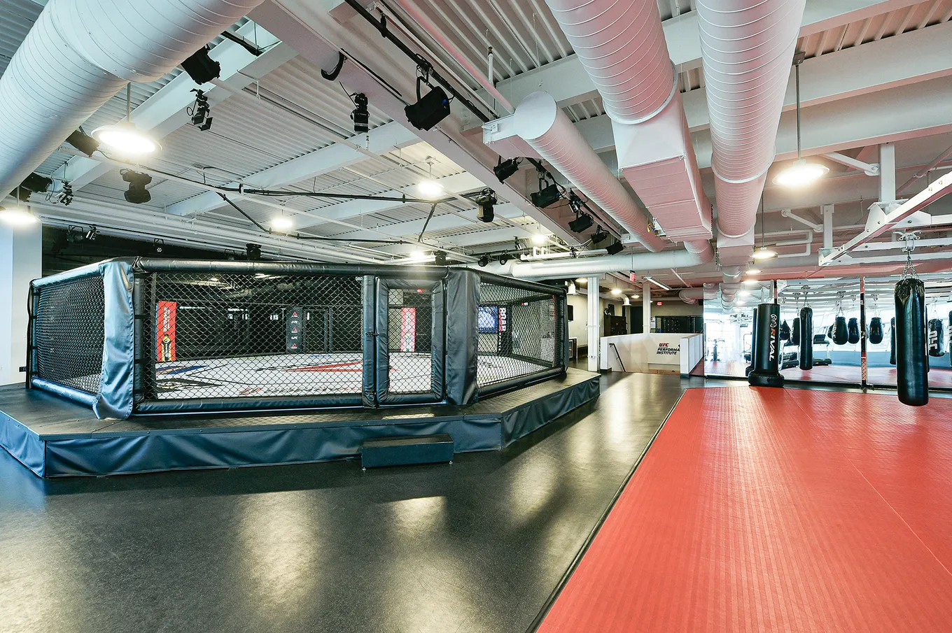 UFC PI