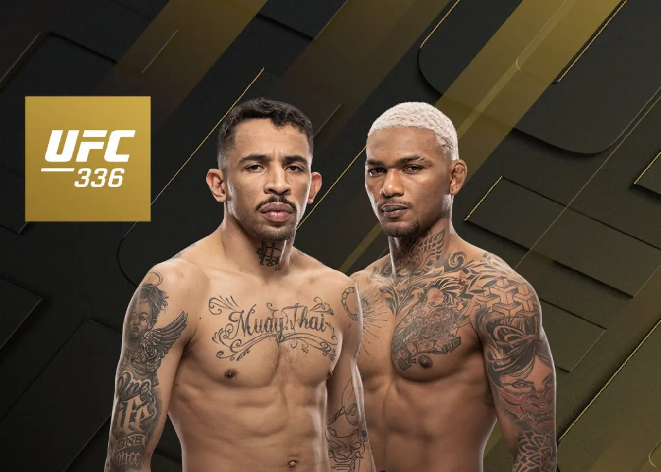 UFC 336