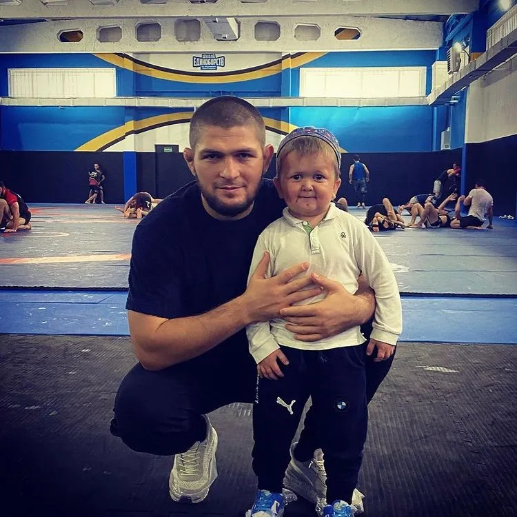 Хабиб