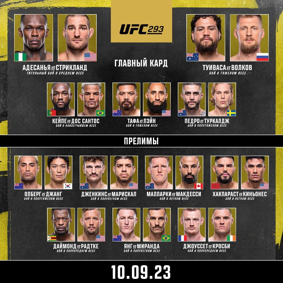 Кард UFC 293
